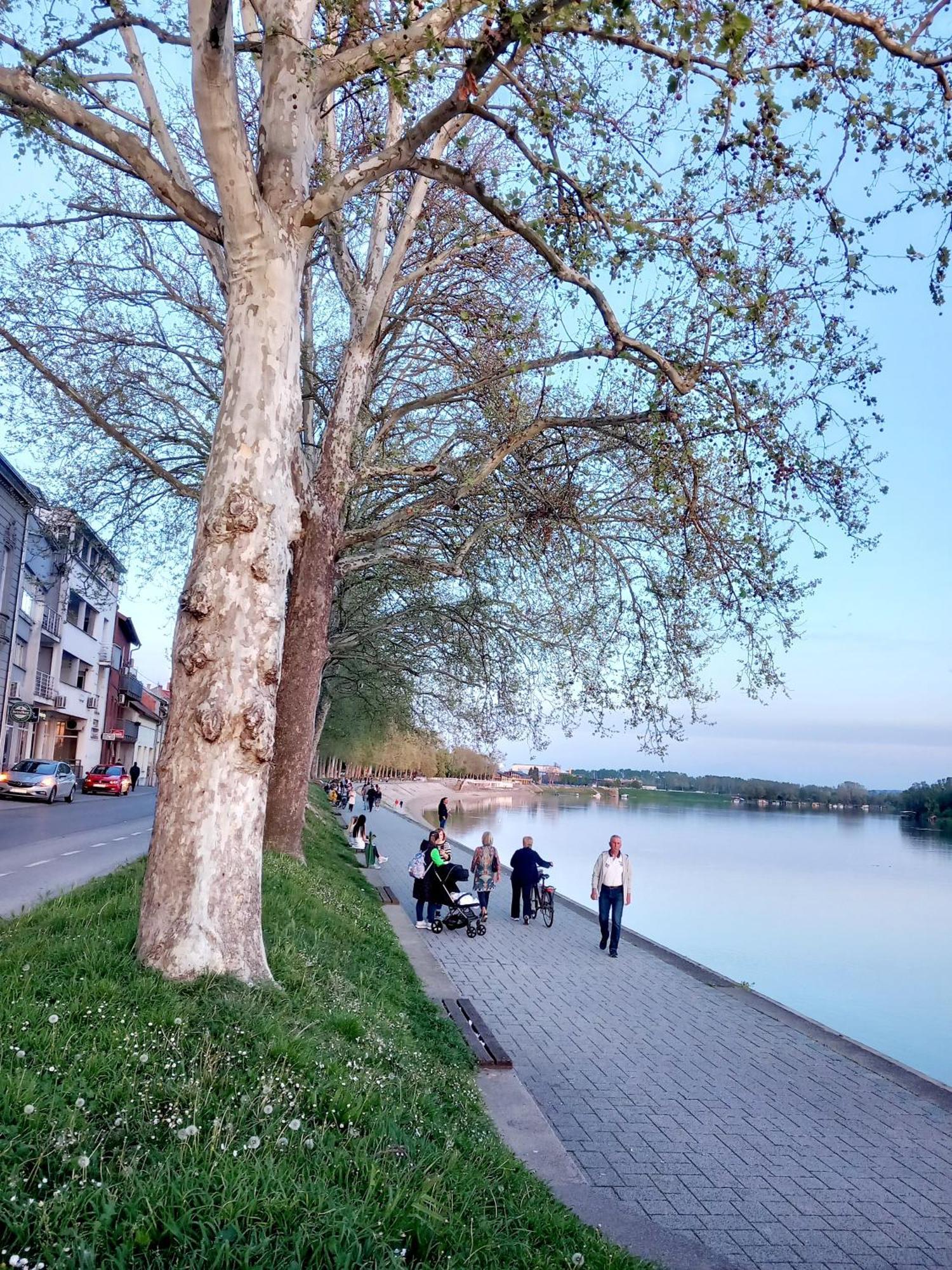 Centar Apartment