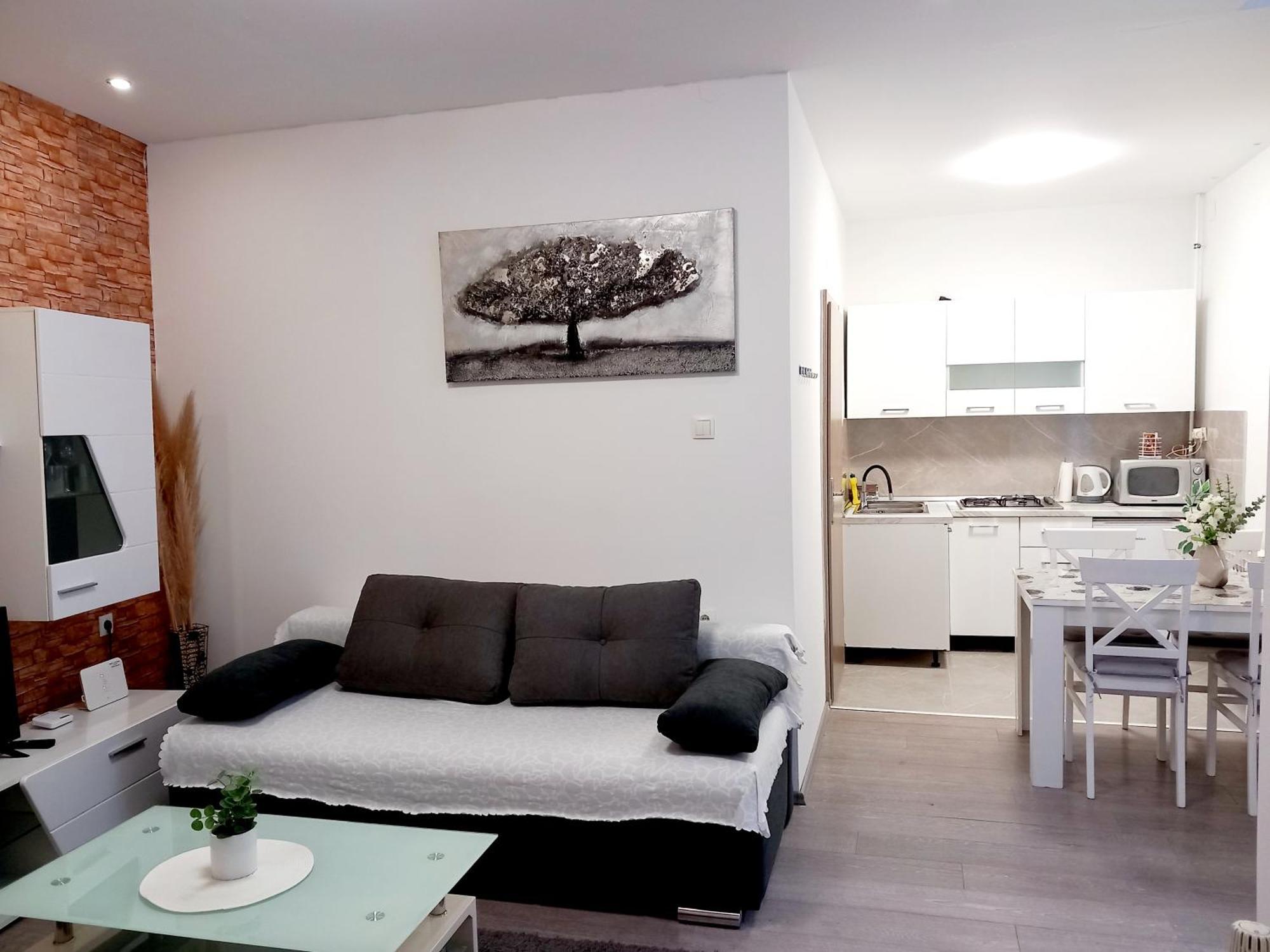 Centar Apartment *